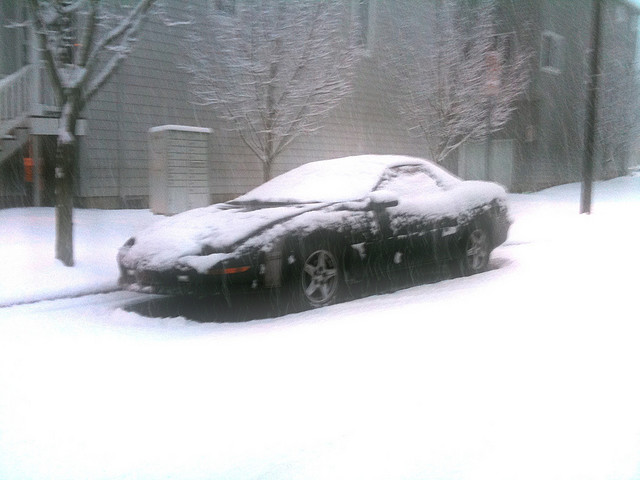 4394348698_1a41188919_z[1].jpg (63 KB)